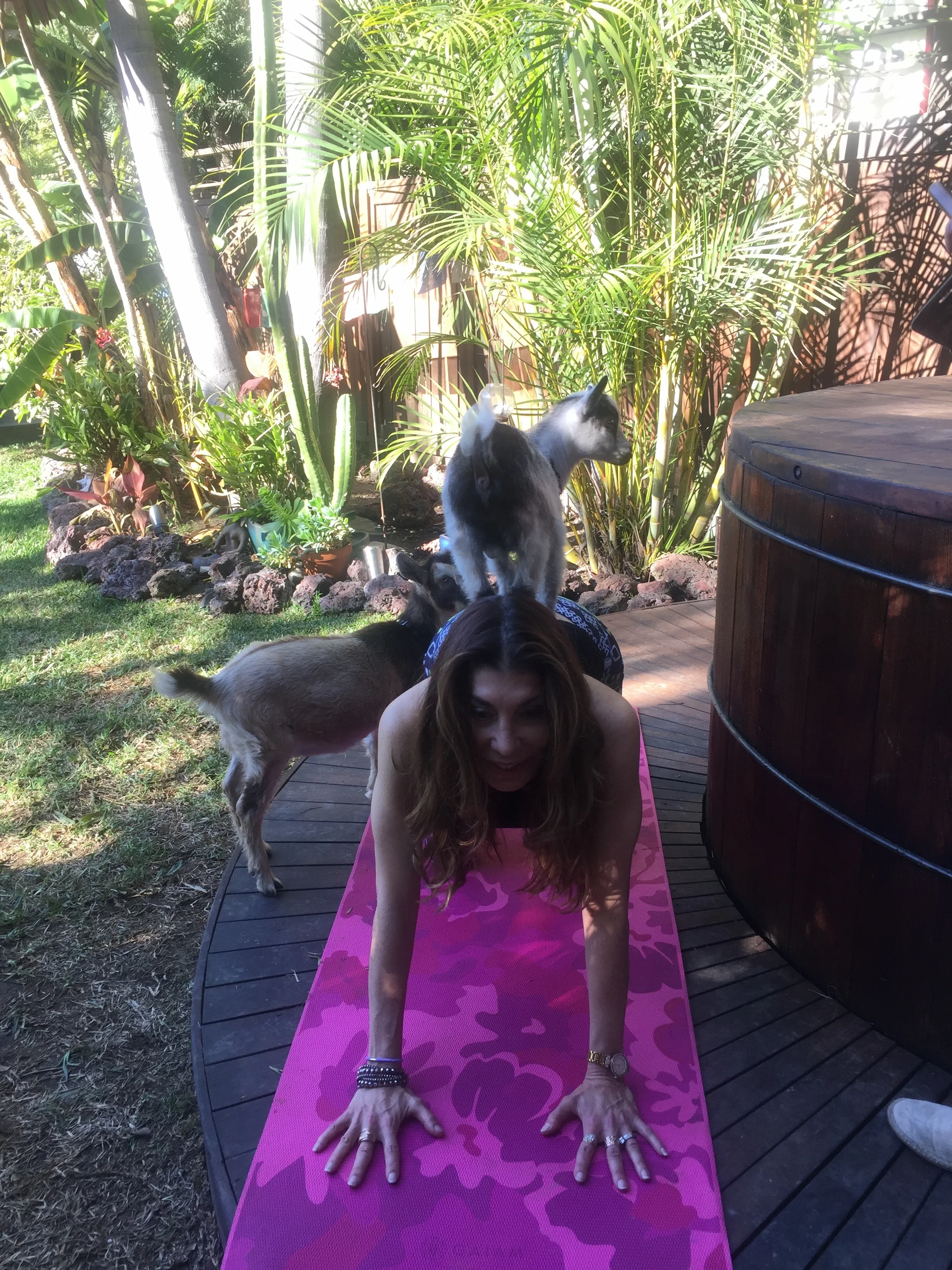 2018-01-14 14.30.13.jpg
