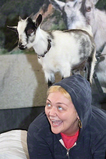 Goat-Yoga_8724.jpeg
