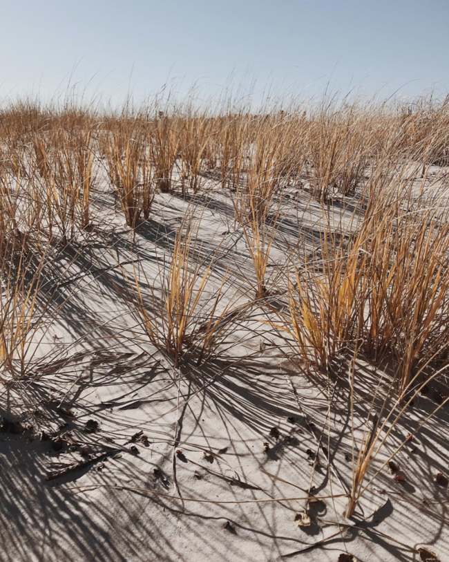 A Local’s Perfectly Planned North Carolina Beach Trip