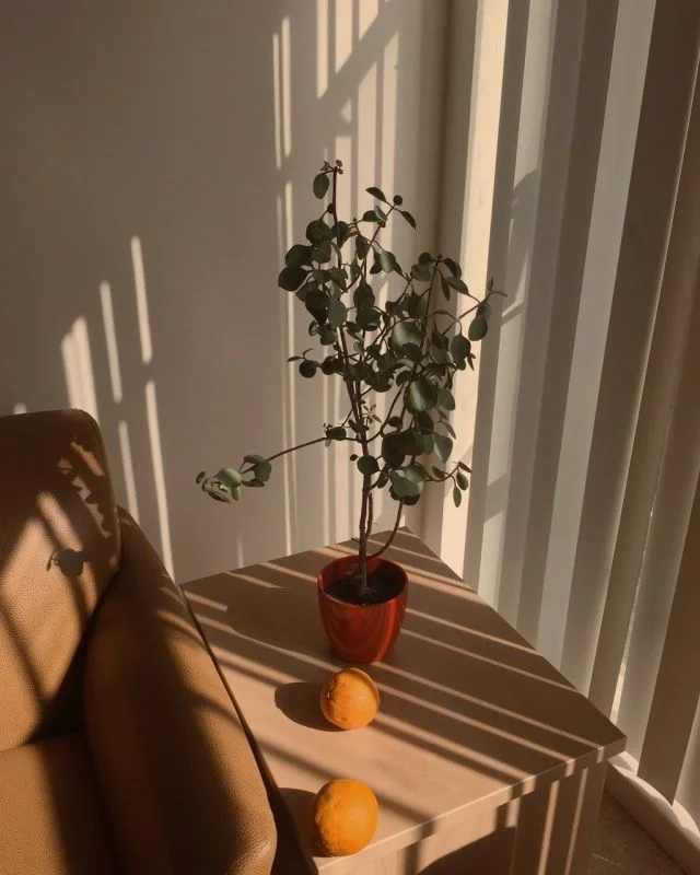 Things I've Learned Vol. 002