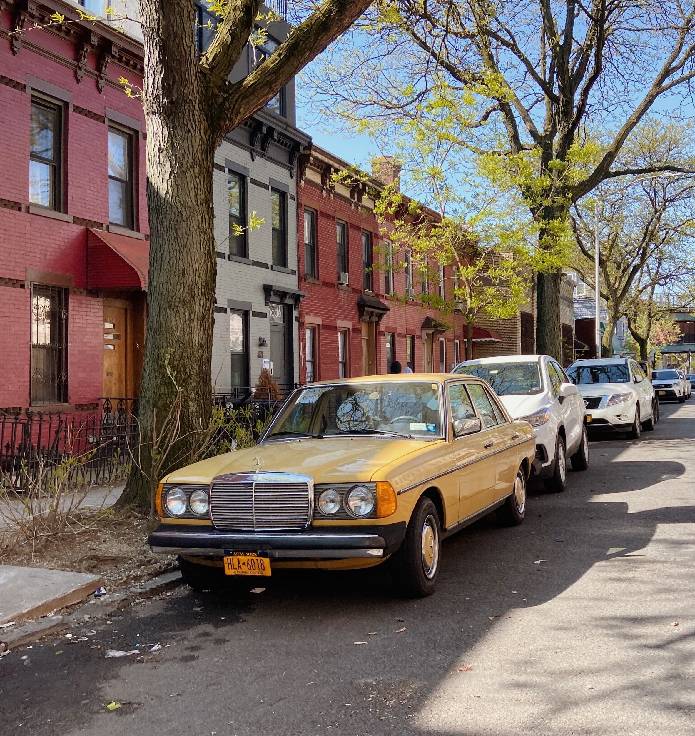 Coping Mechanisms For Life In 2020