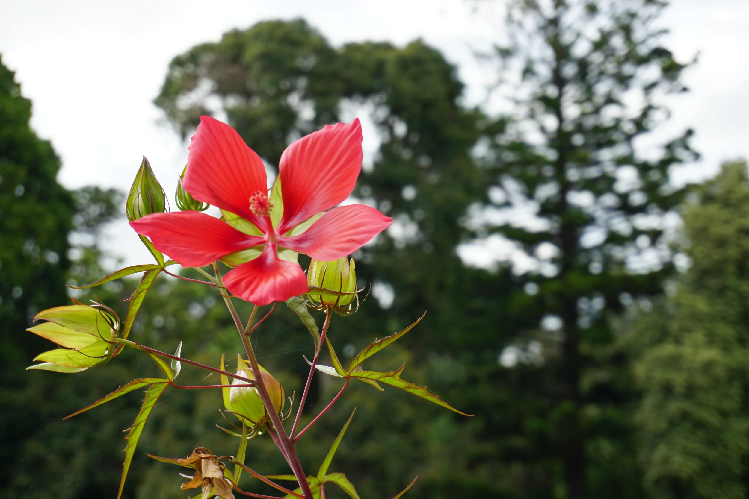 Melbourne, Australia