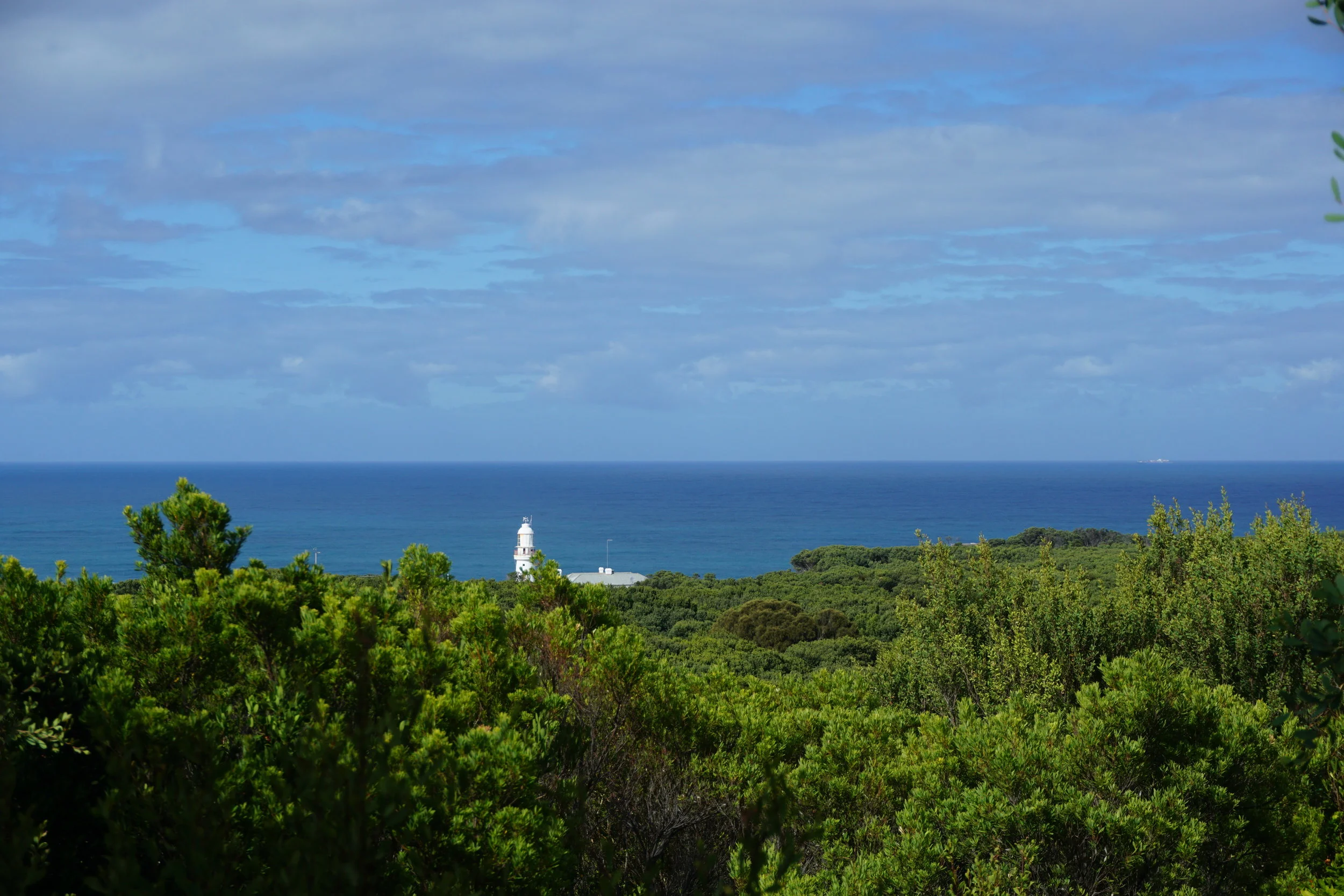 DSC03362.JPG