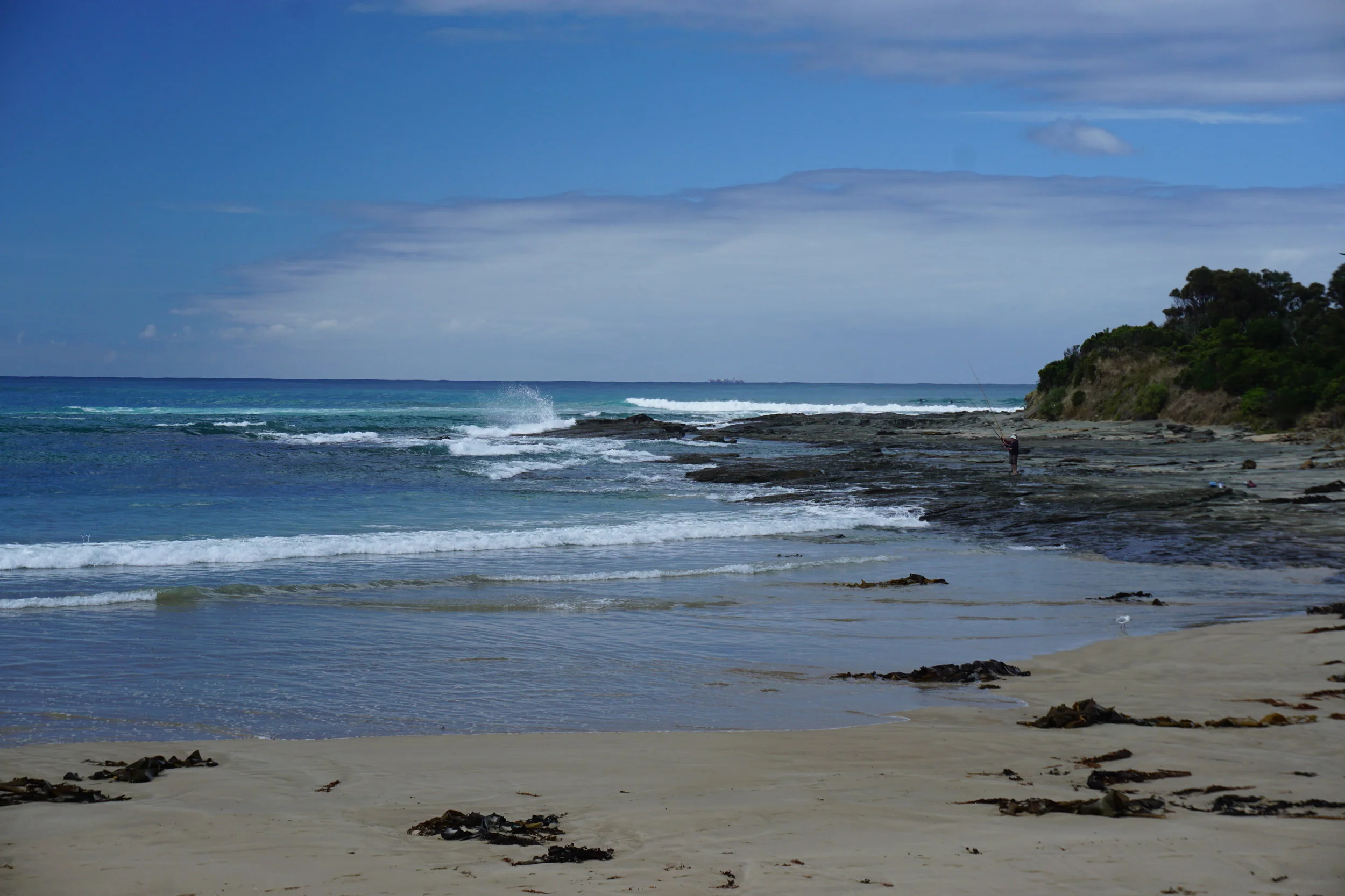 DSC03449.JPG