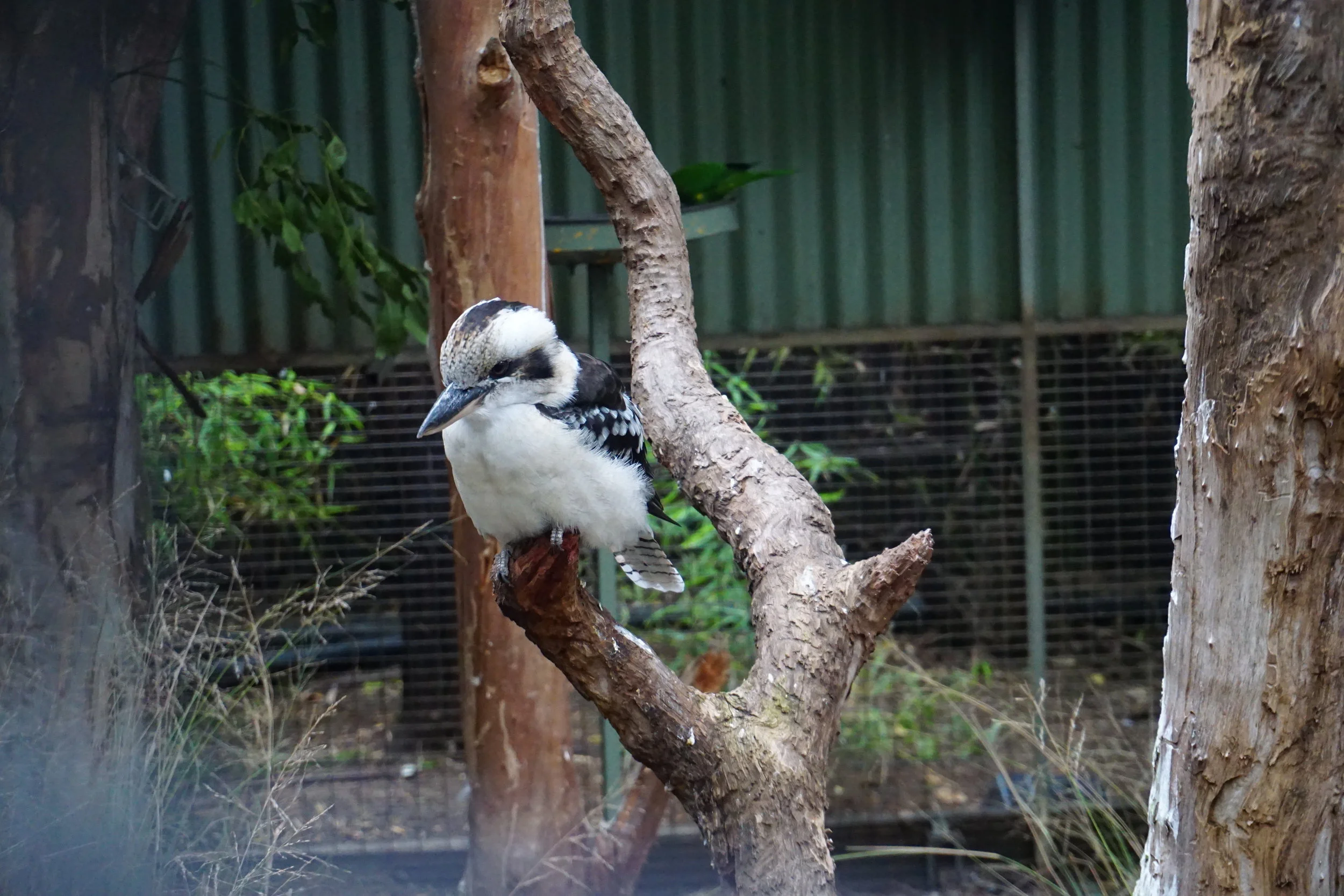 DSC03595.JPG