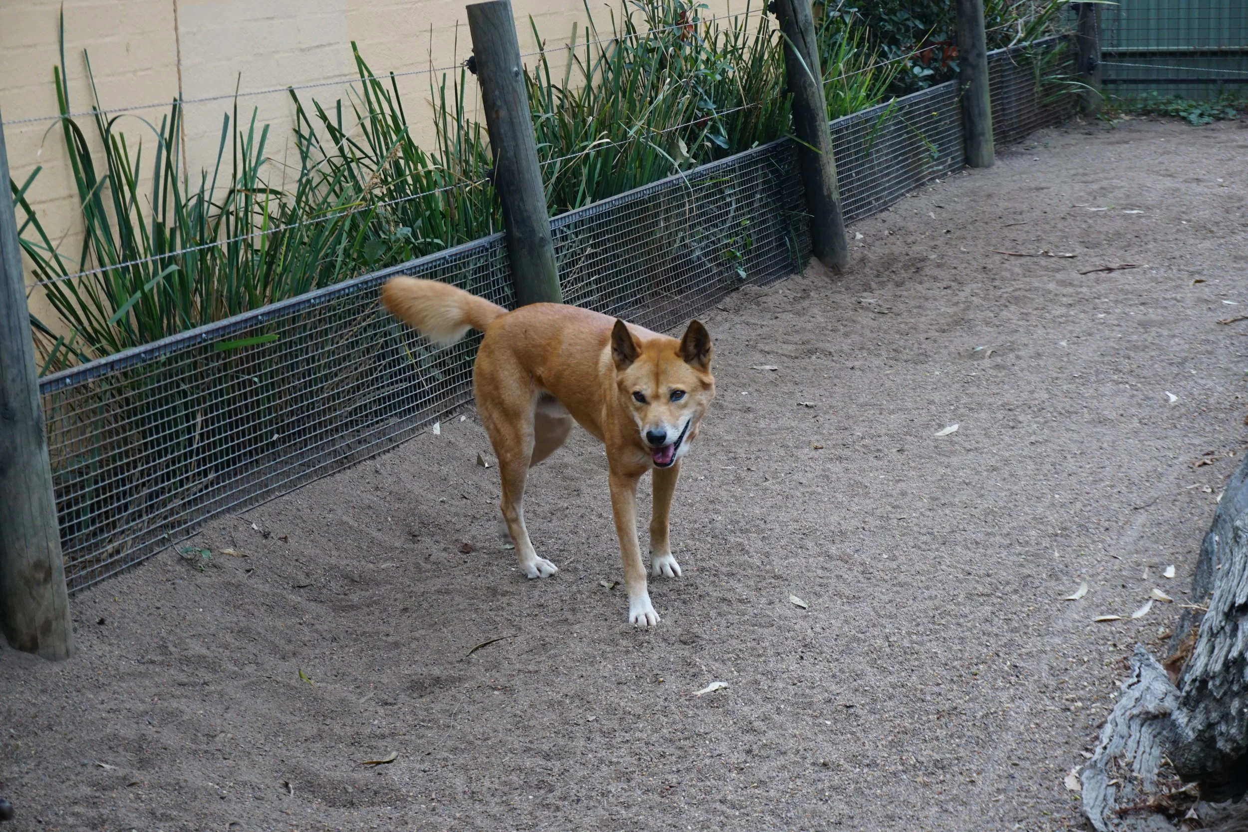 DSC03692.JPG