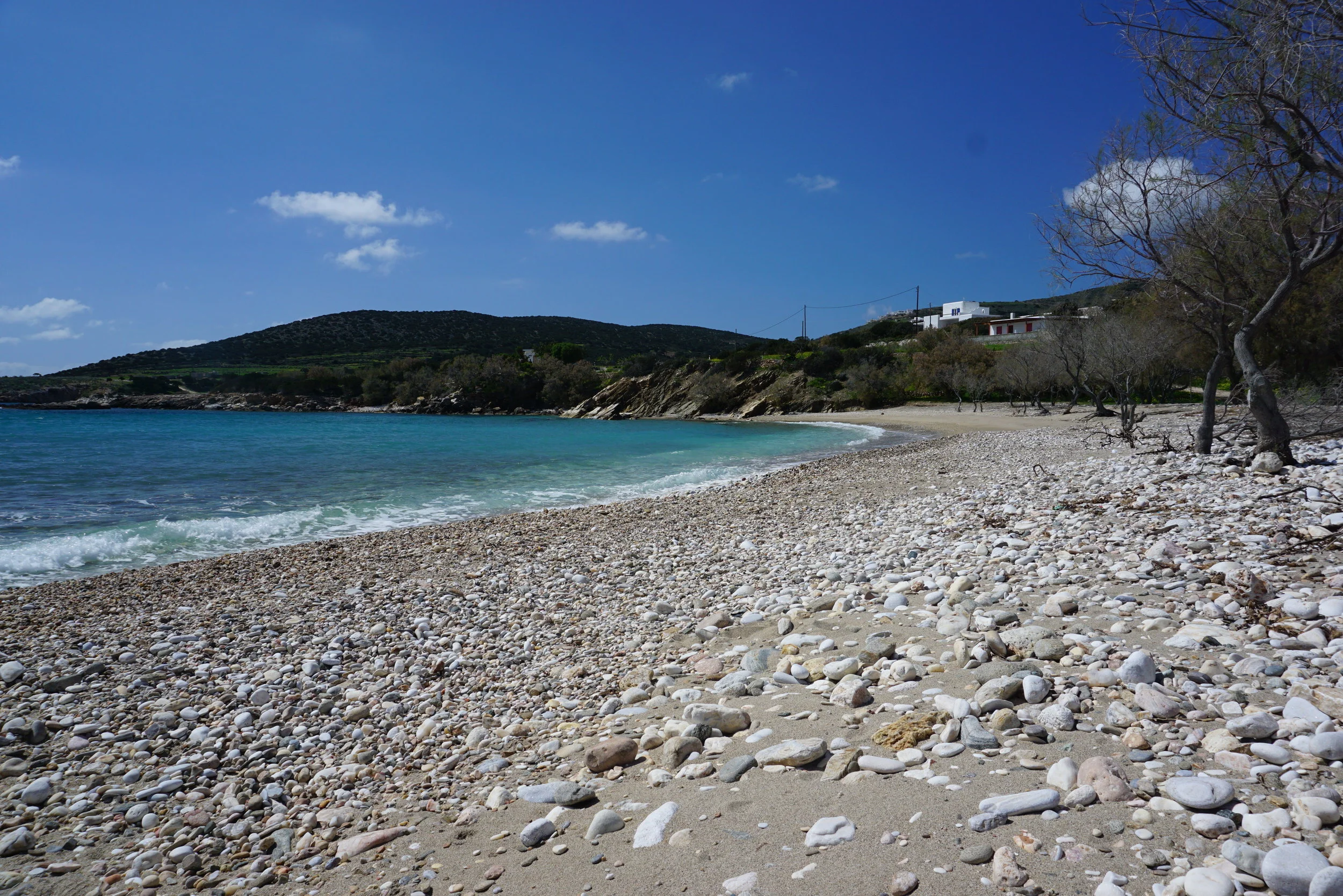 DSC04014.JPG