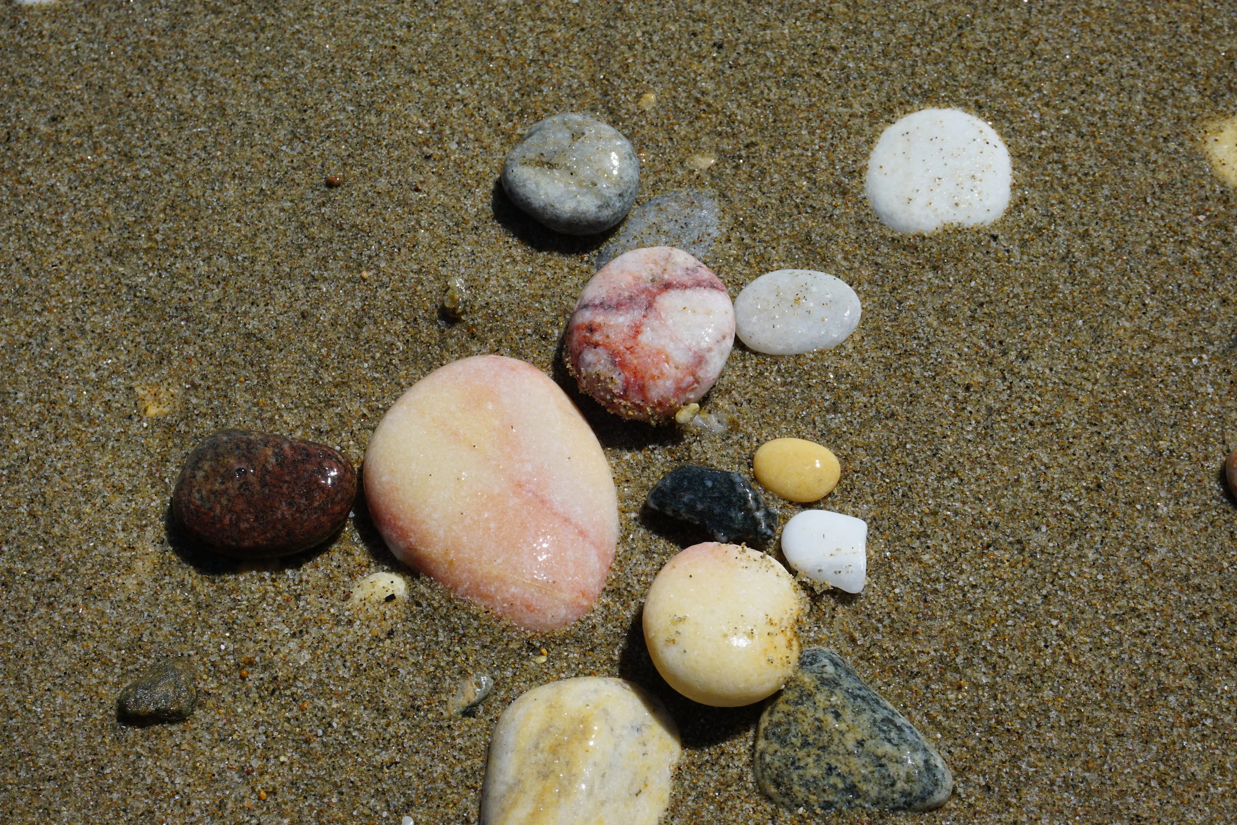 DSC04045.JPG