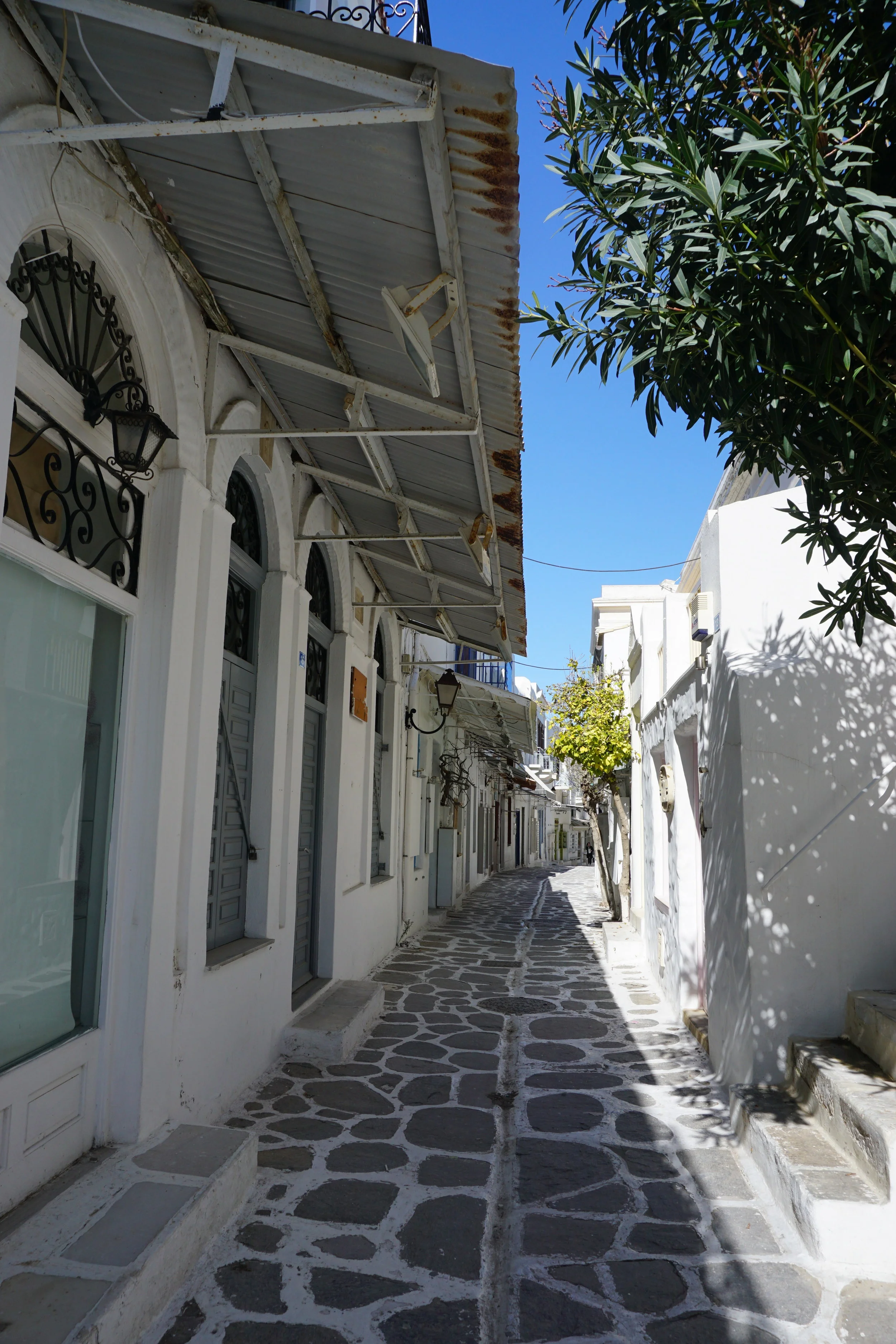 DSC03876.JPG