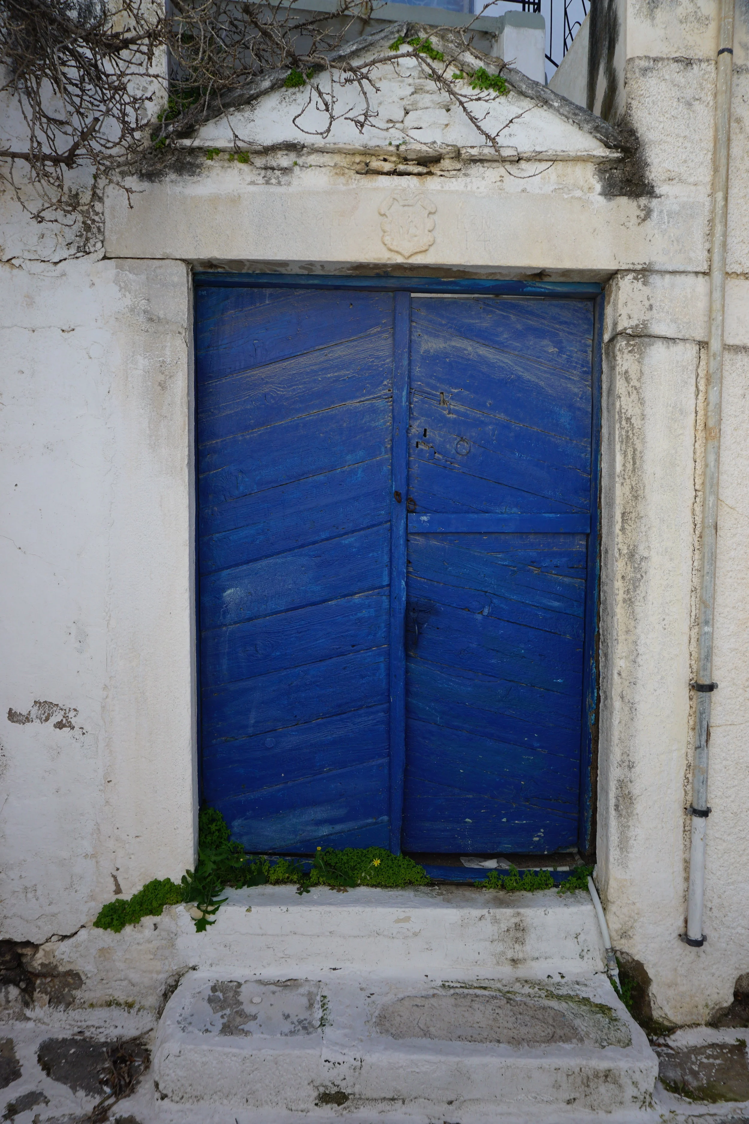 DSC03880.JPG