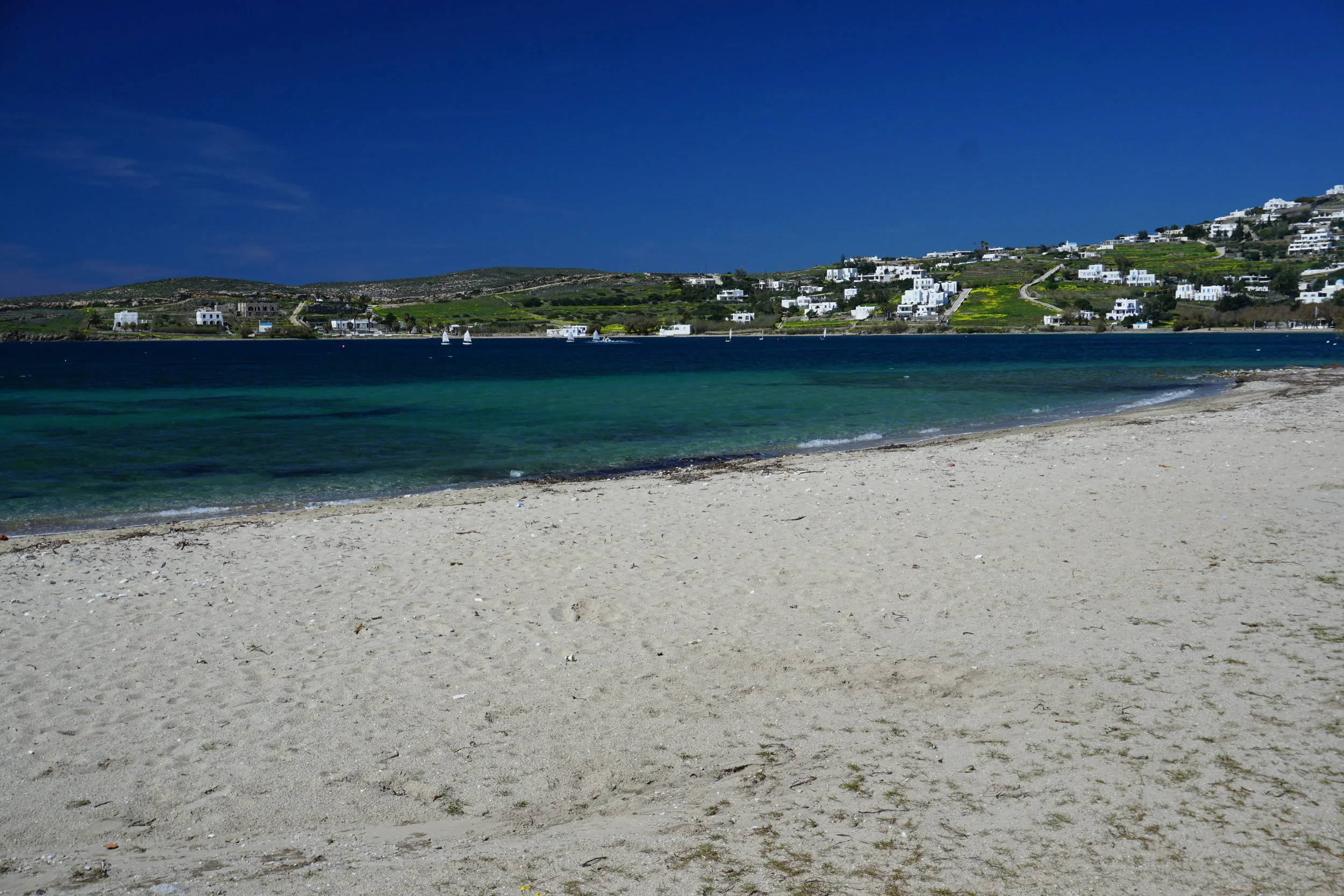 DSC03872.JPG