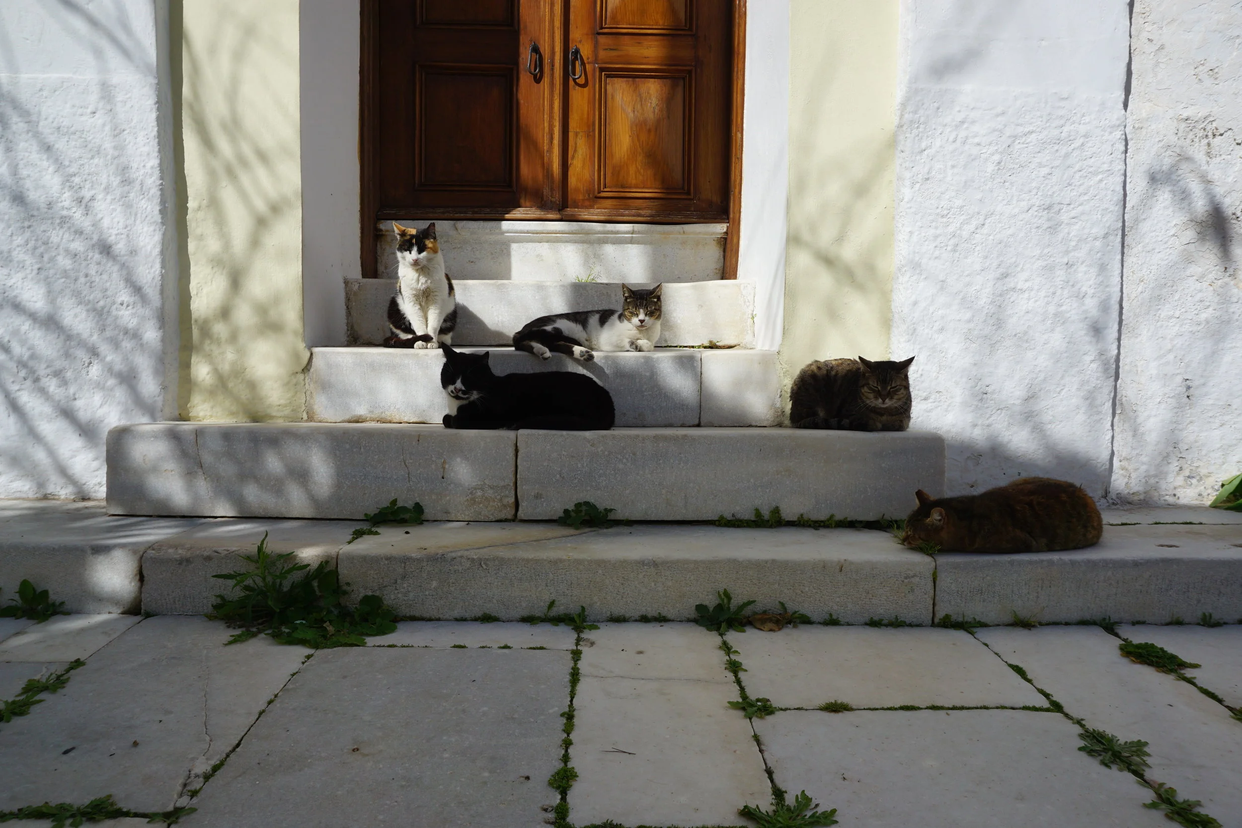 DSC03886.JPG