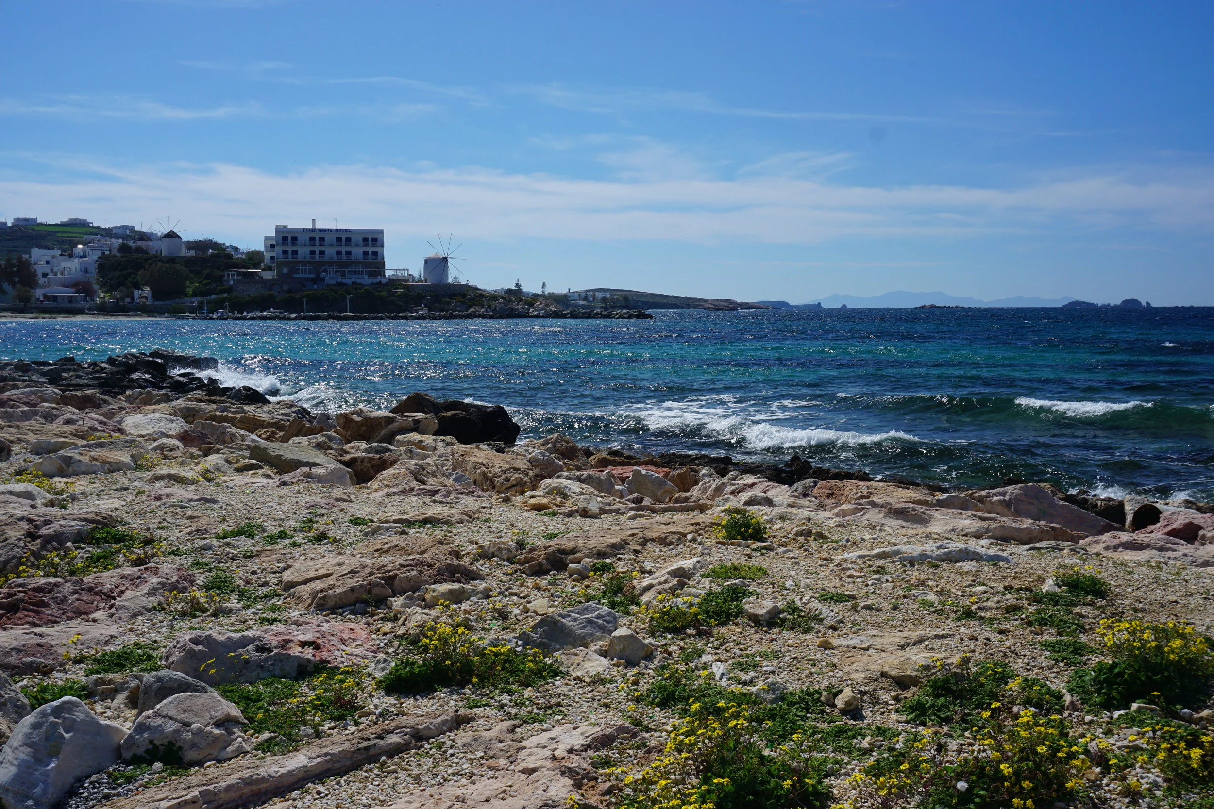 DSC03874.JPG