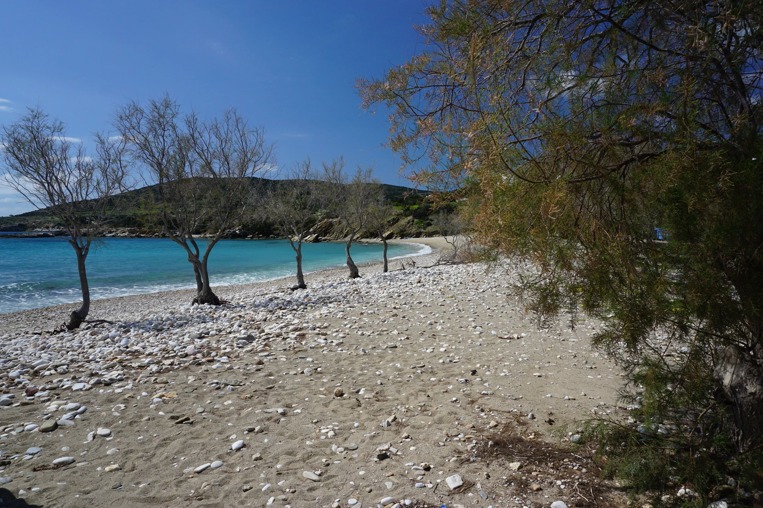 DSC04011.JPG