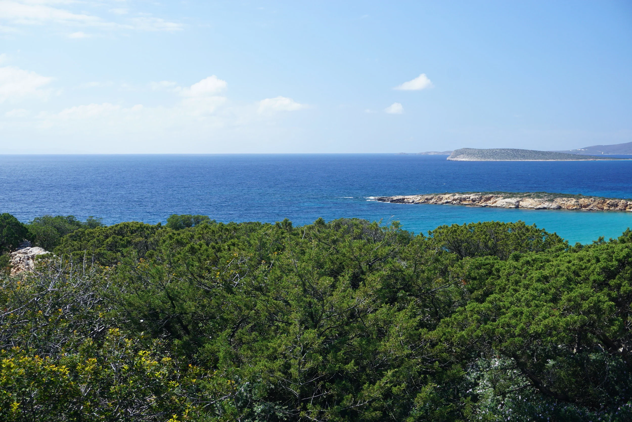 DSC03994.JPG