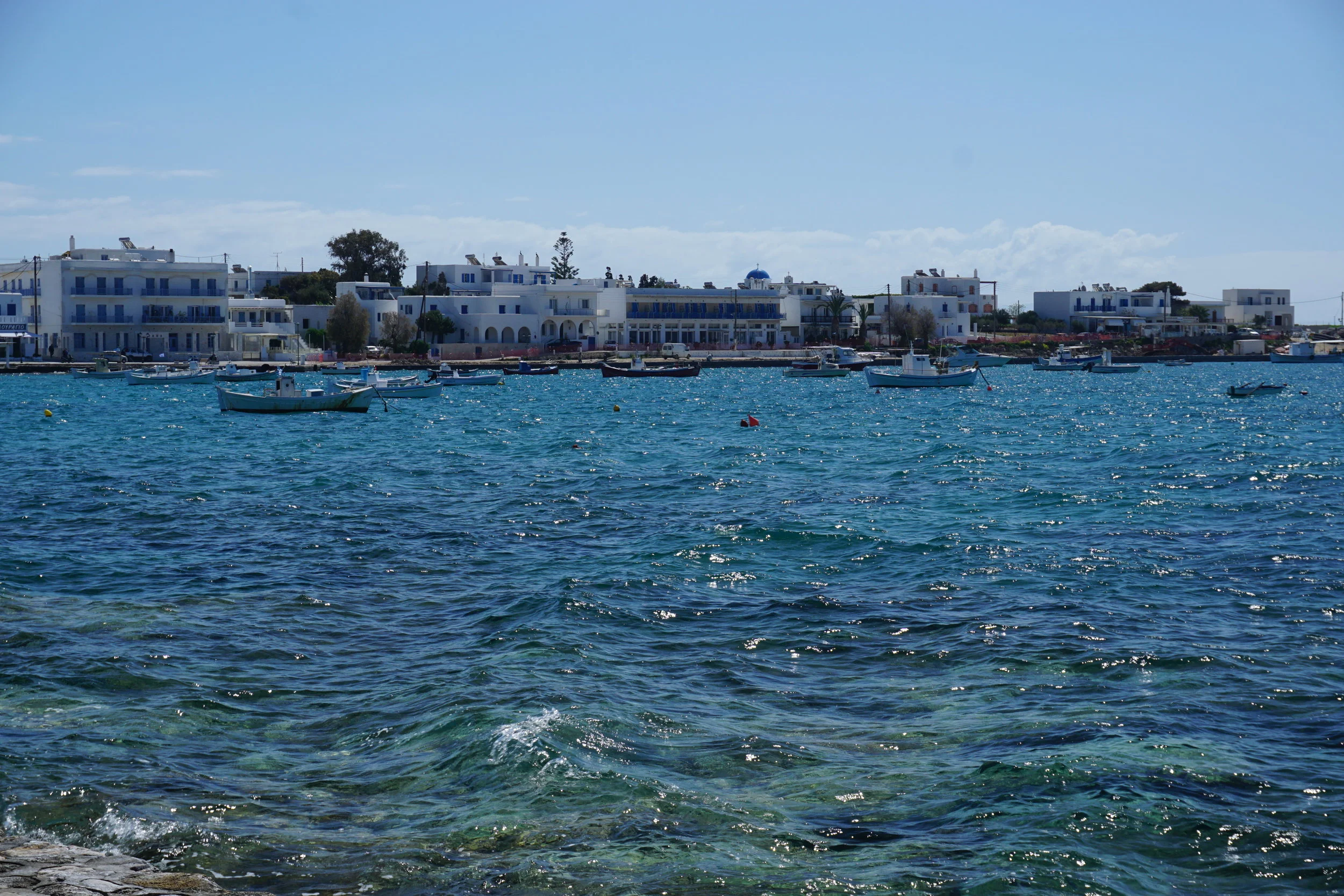 DSC03982.JPG