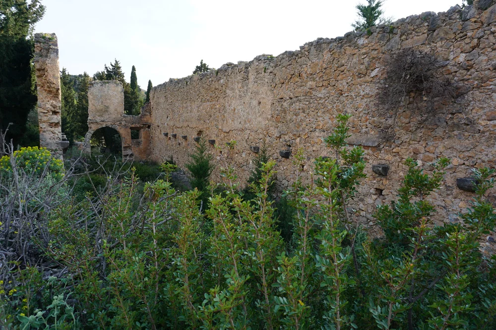 DSC04913.JPG