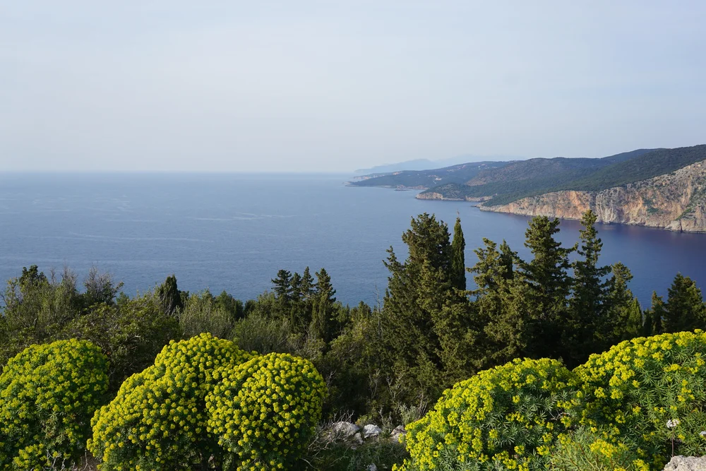 DSC04901.JPG