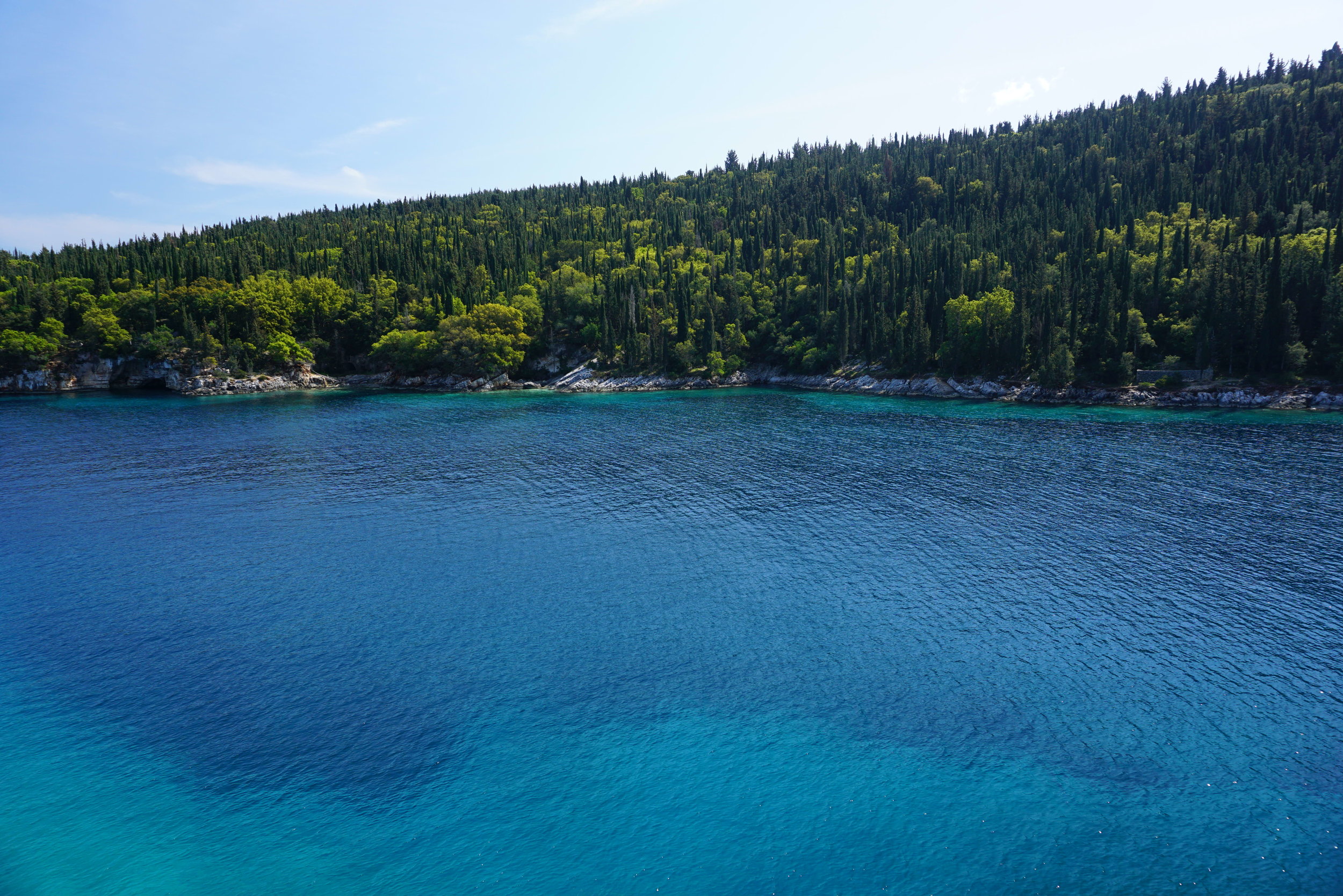 DSC04826.JPG