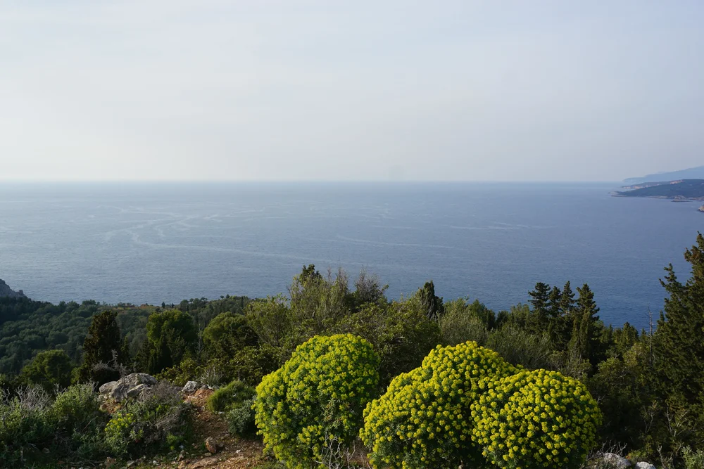 DSC04902.JPG