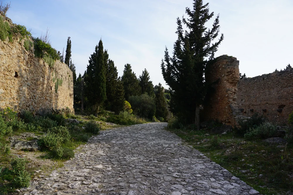 DSC04892.JPG