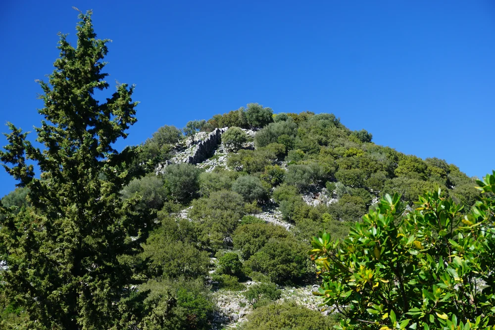 DSC04542.JPG