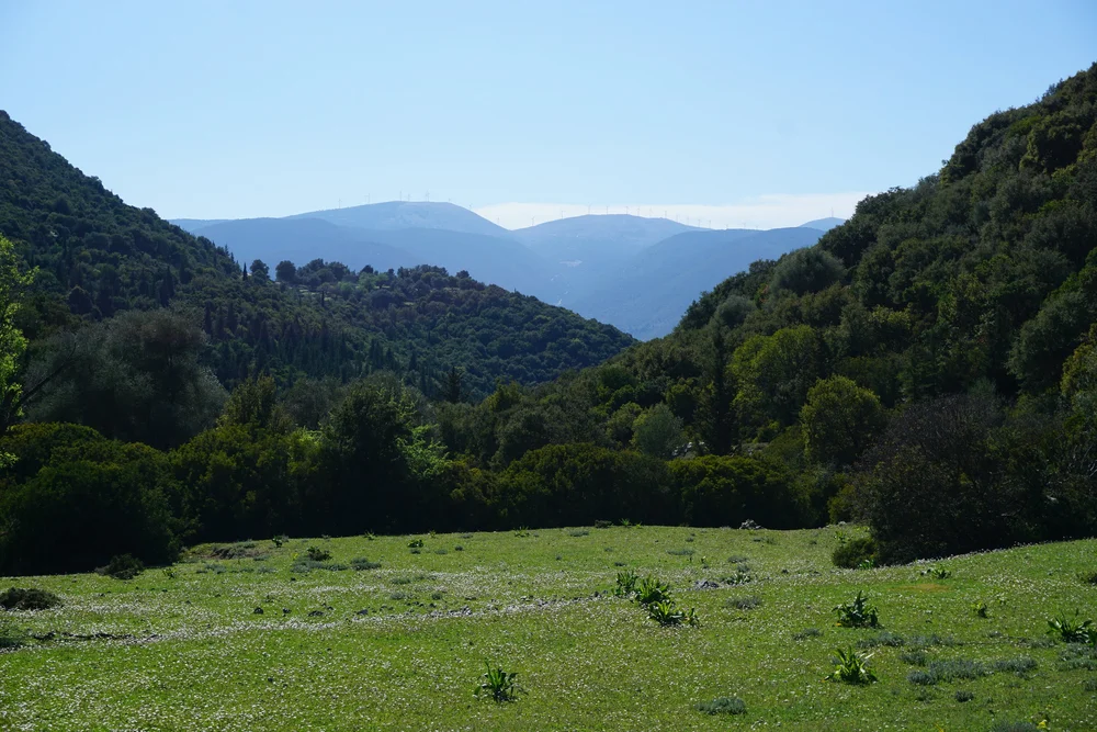 DSC04551.JPG