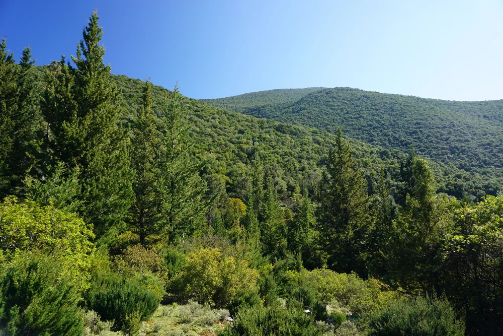 DSC04553.JPG