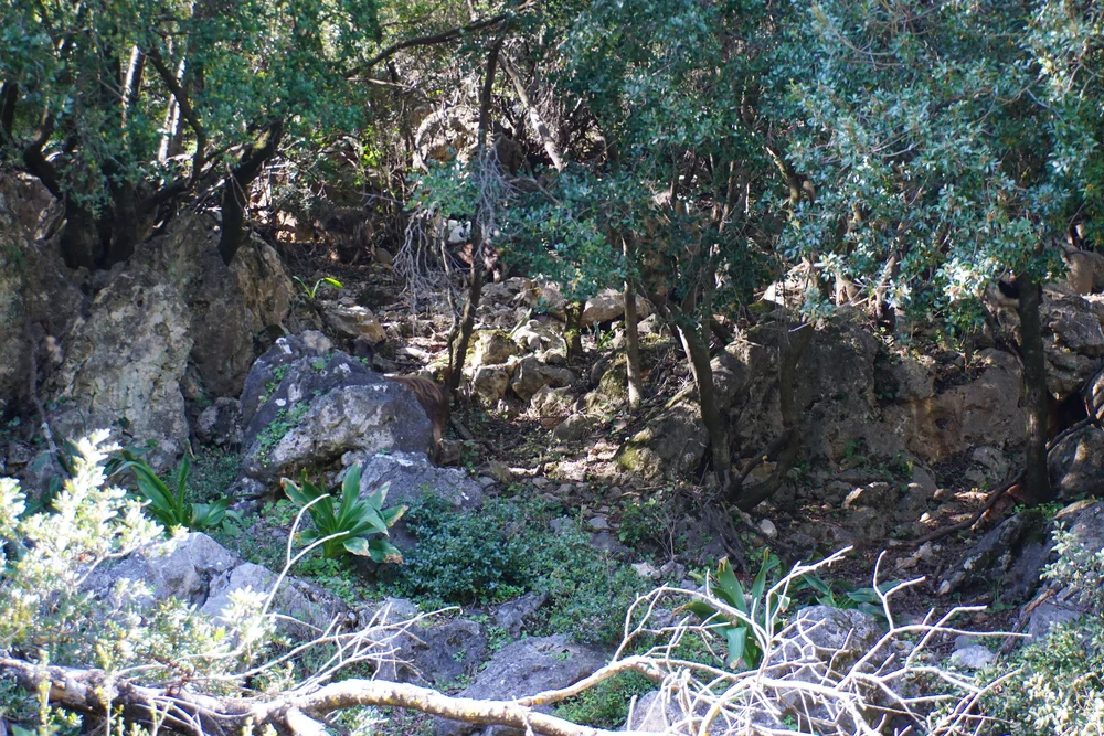 DSC04567.JPG