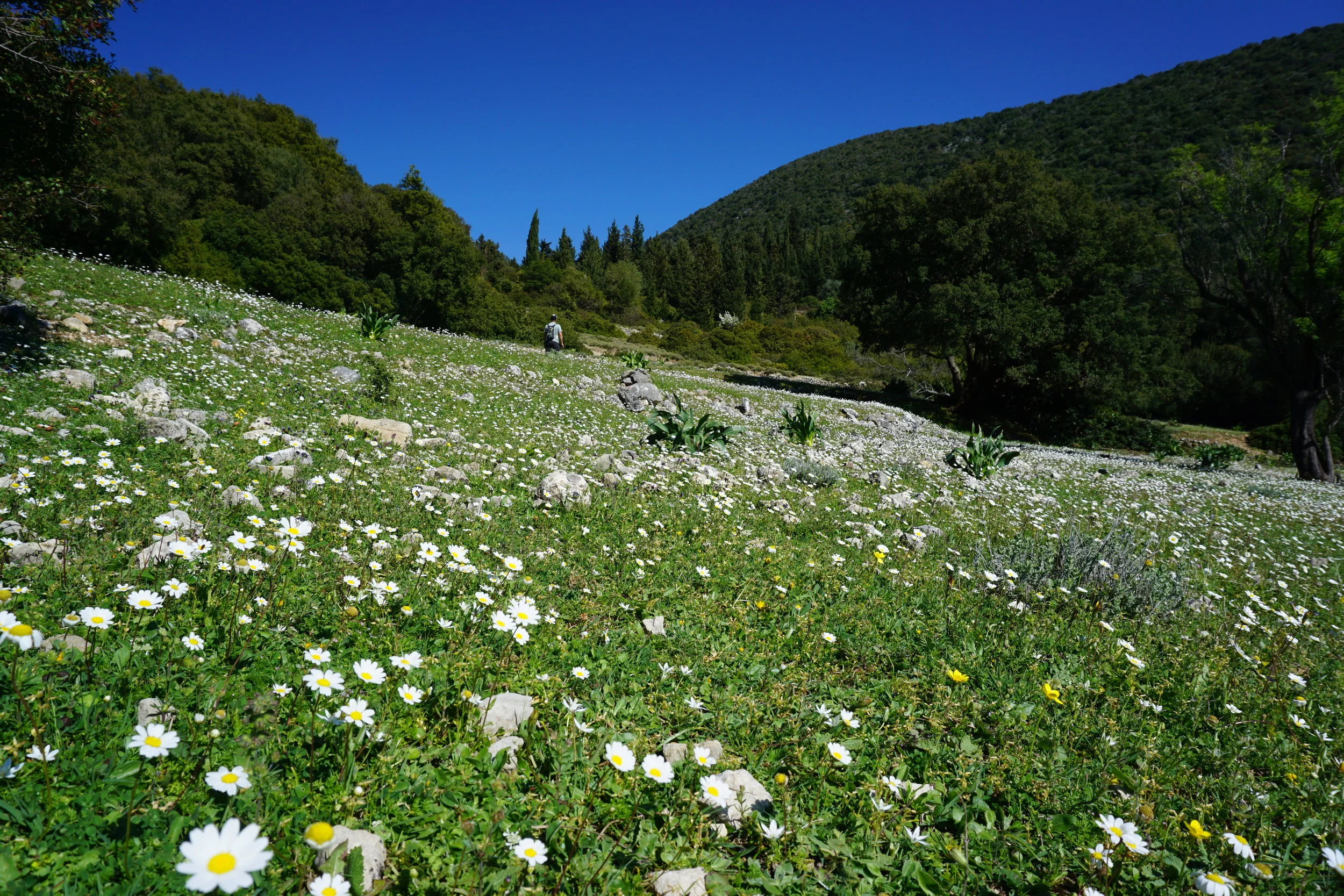 Ancient Acropolis of Sami
