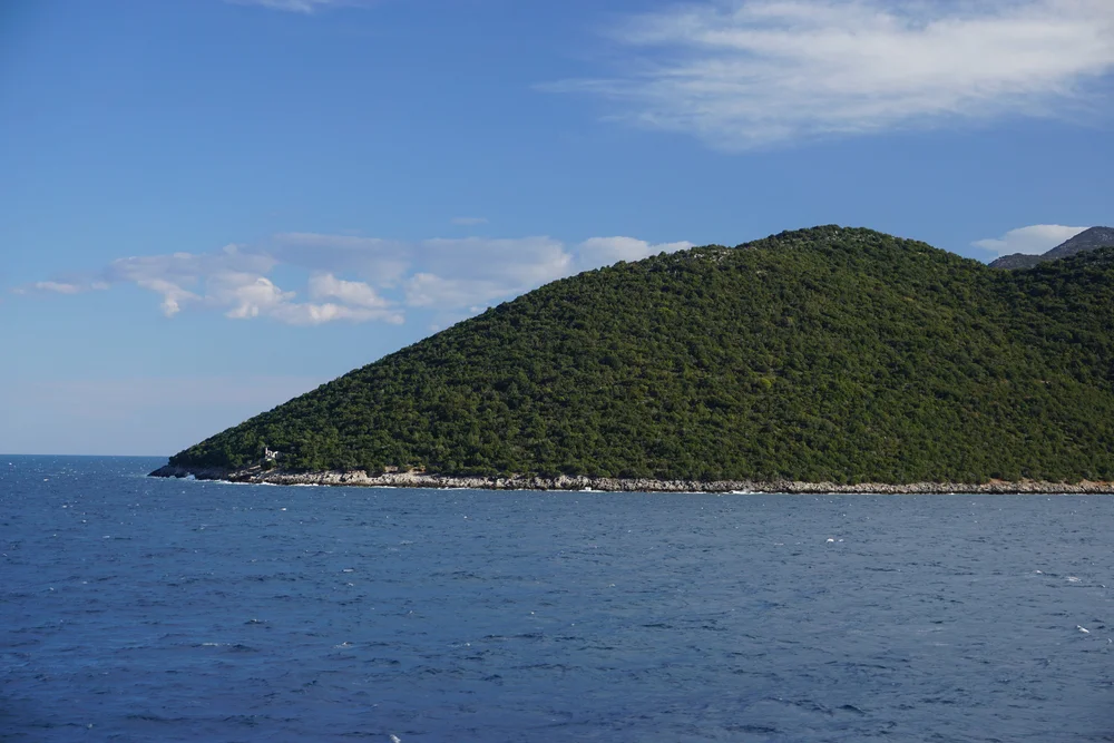 DSC04527.JPG