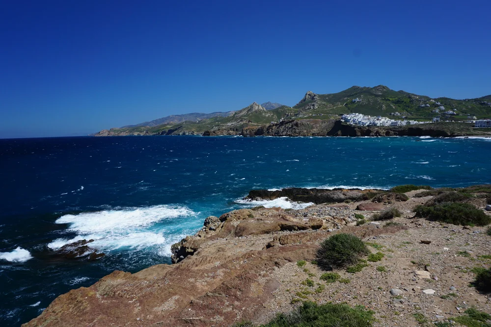DSC04417.JPG