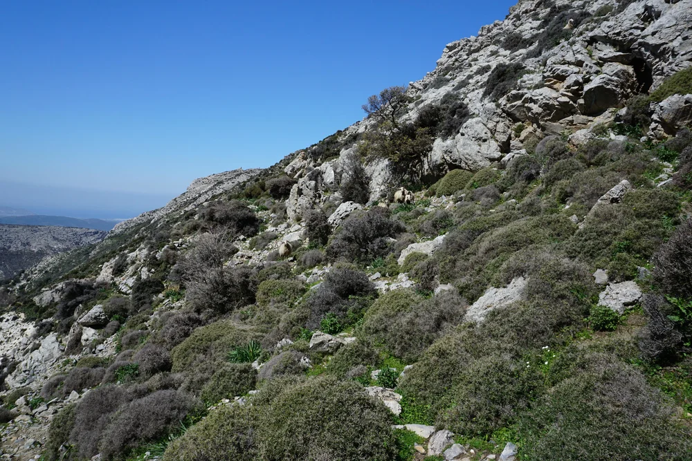 DSC04226.JPG