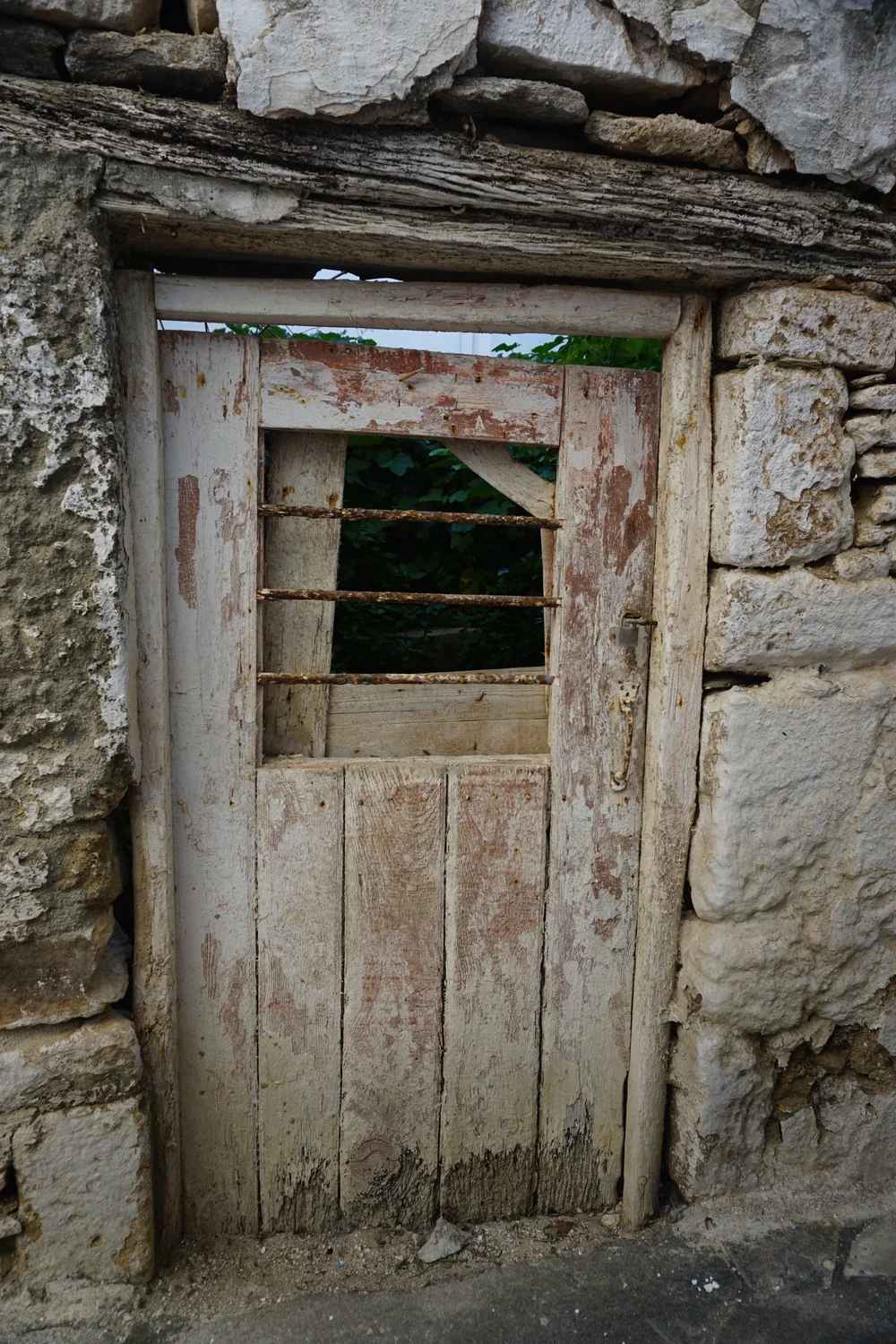 DSC04105.JPG