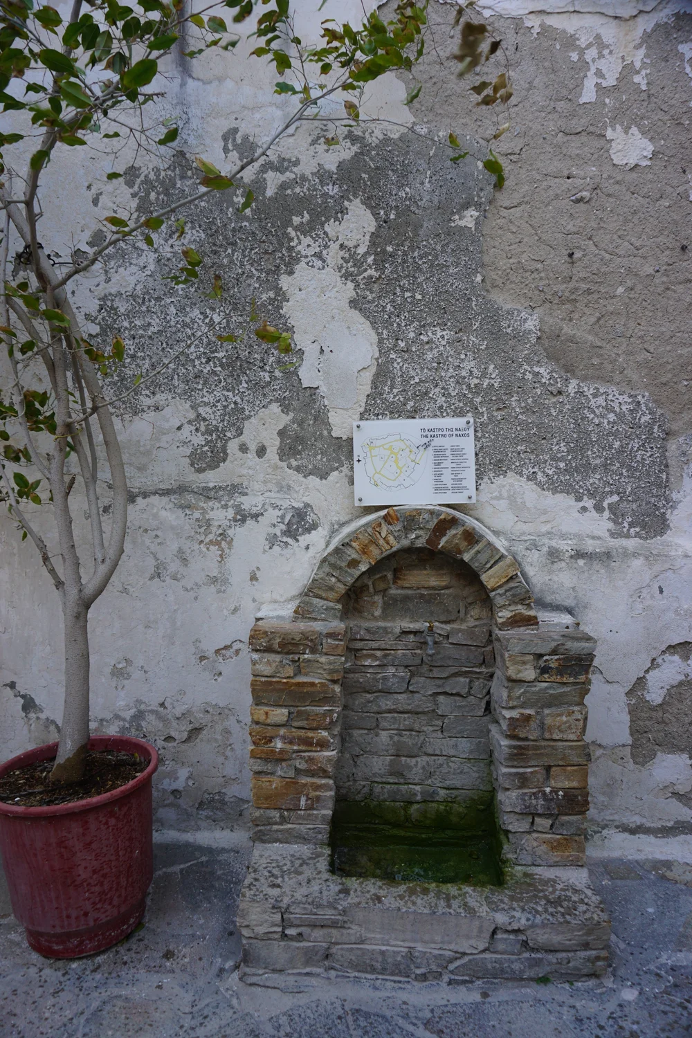 DSC04108.JPG