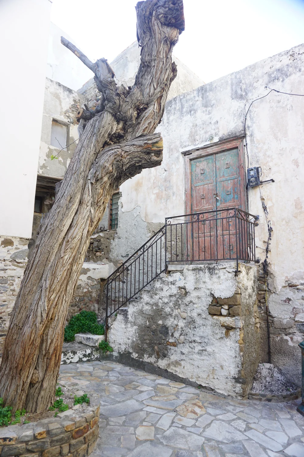 DSC04107.JPG