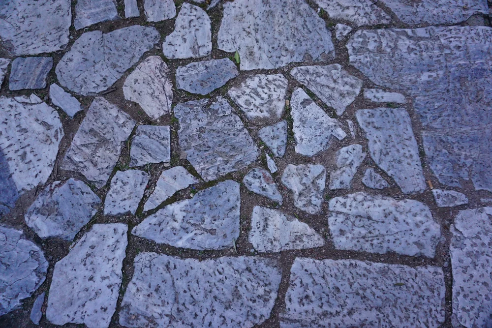 DSC03860.JPG