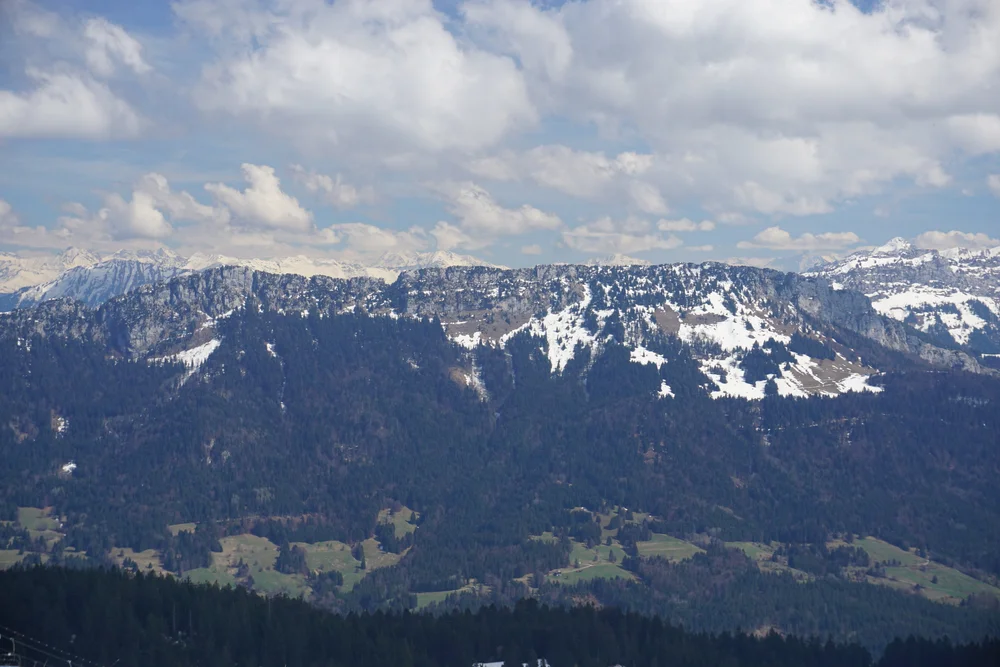 DSC05639.JPG