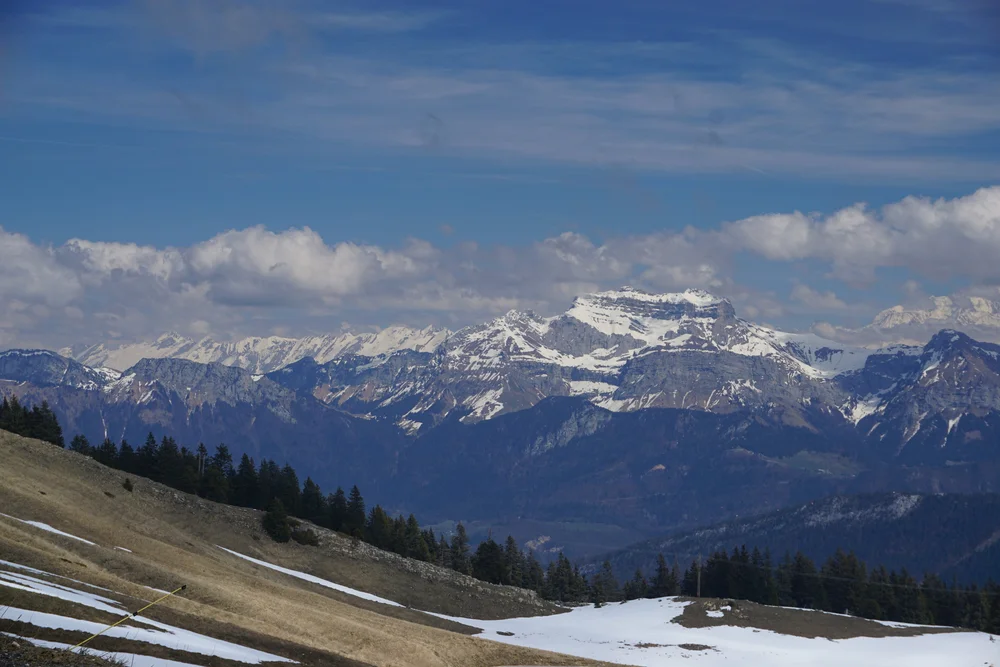 DSC05590.JPG