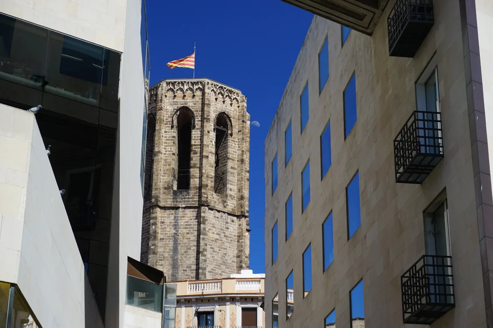 DSC07460.JPG