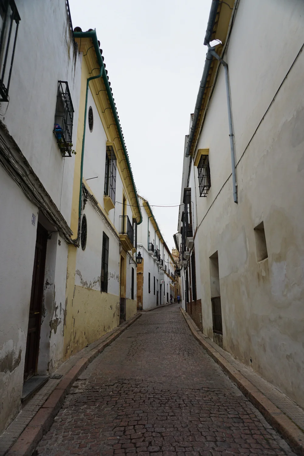 DSC06552.JPG