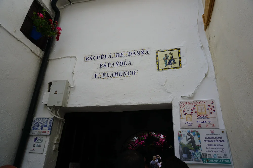 DSC06630.JPG