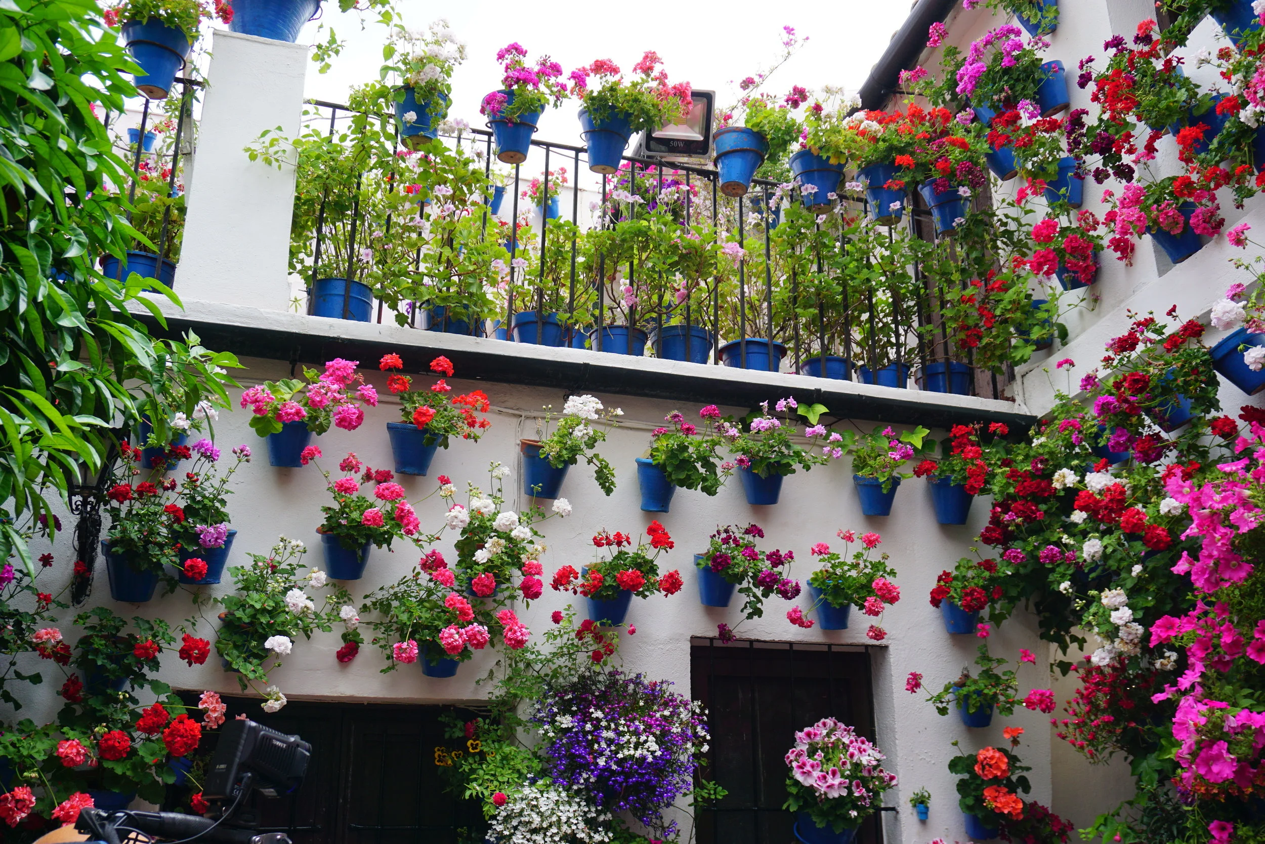 Patios de Córdoba