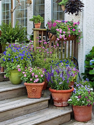 flower2.jpg