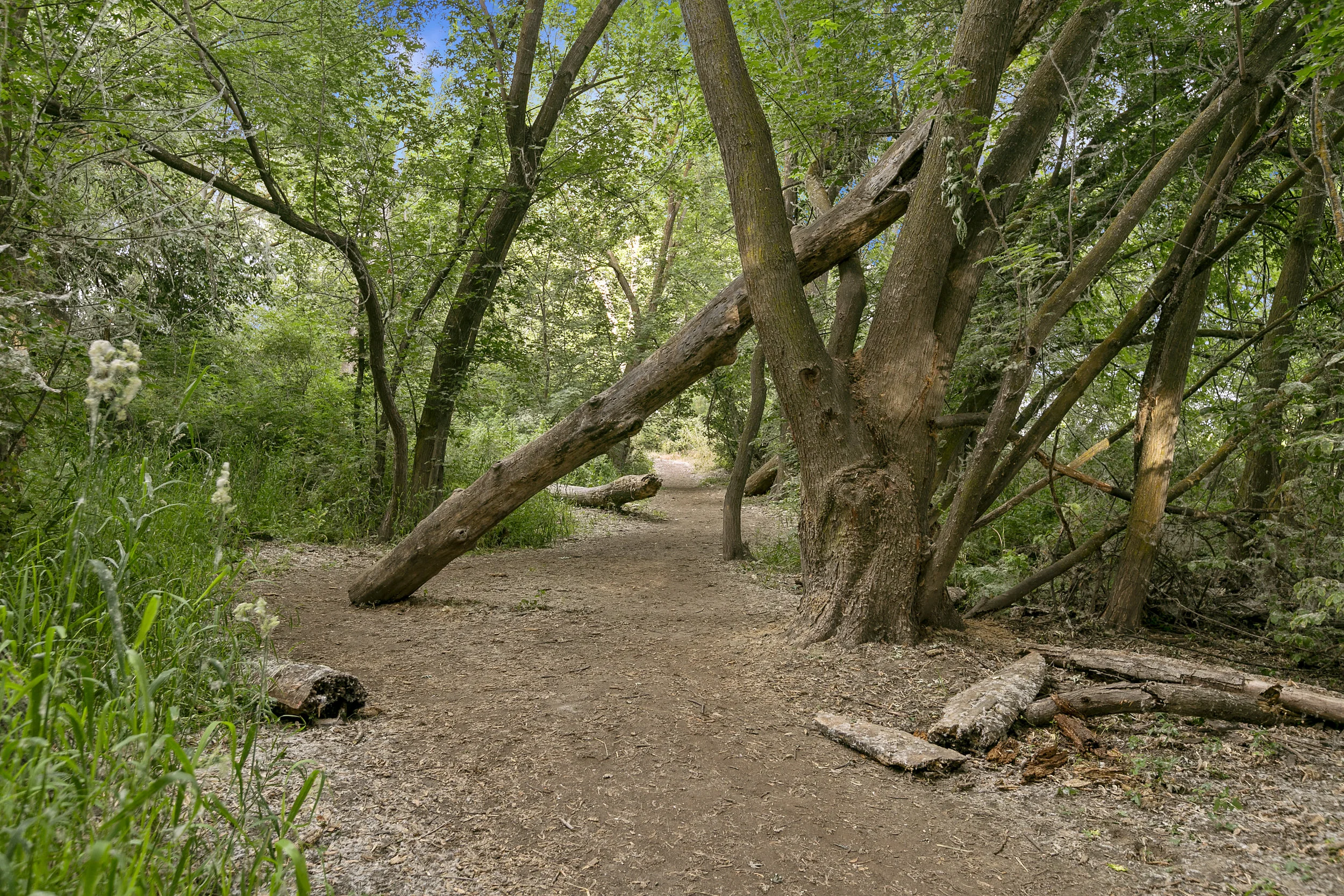 31-Star River Walk Path (9).jpg
