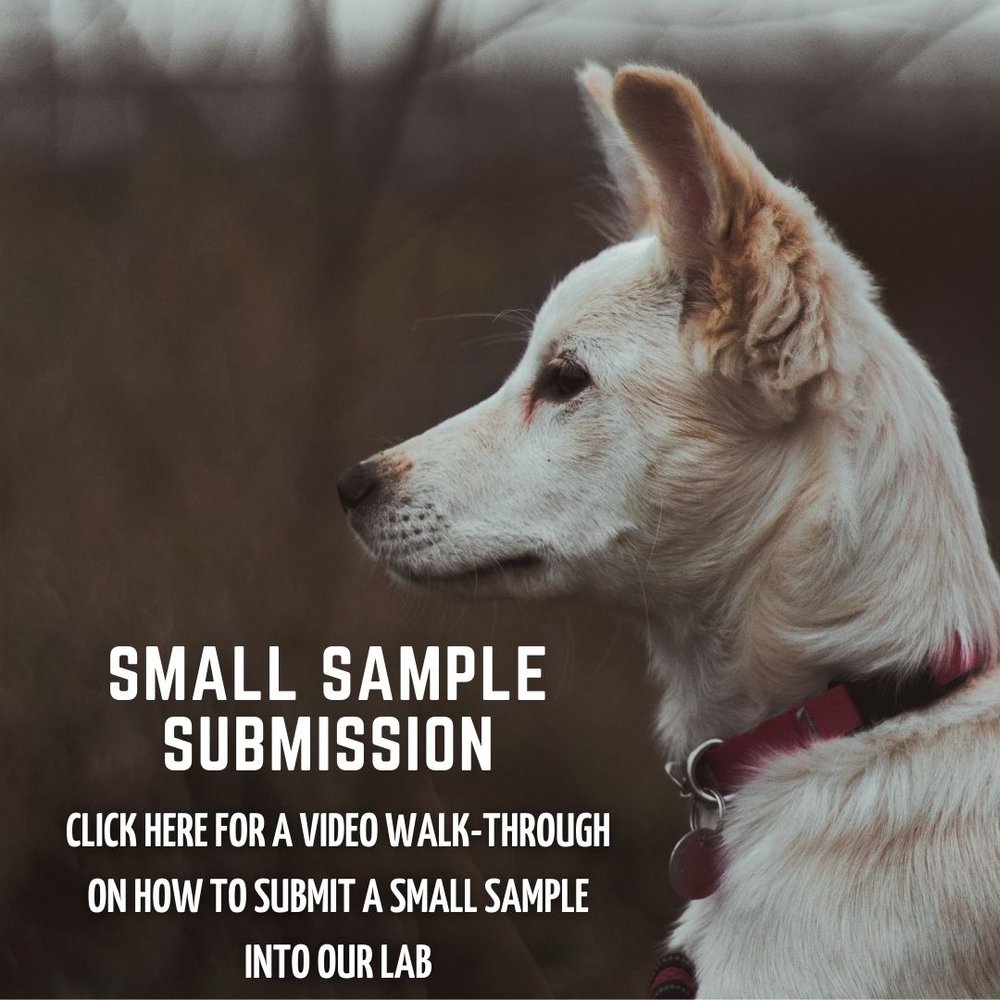 How to Submit a Tumor Sample — Torigen Pharmaceuticals How to Submit a Tumor Sample — Torigen Pharmaceuticals
