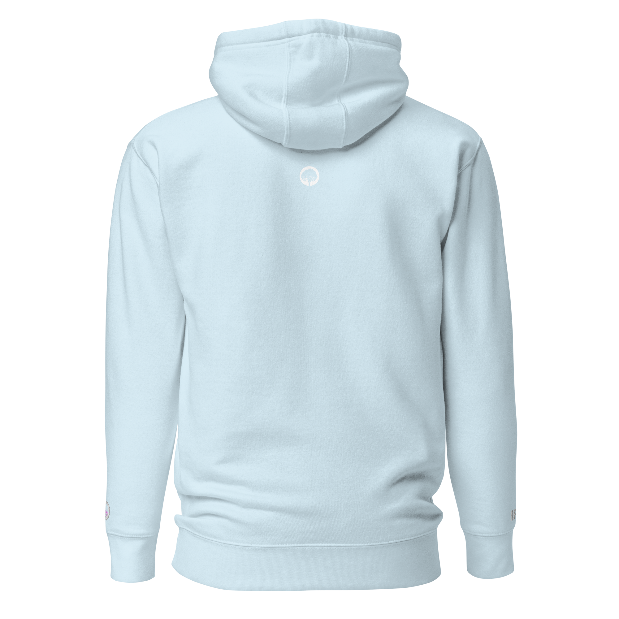 unisex-premium-hoodie-sky-blue-back-686c658c9569e.png