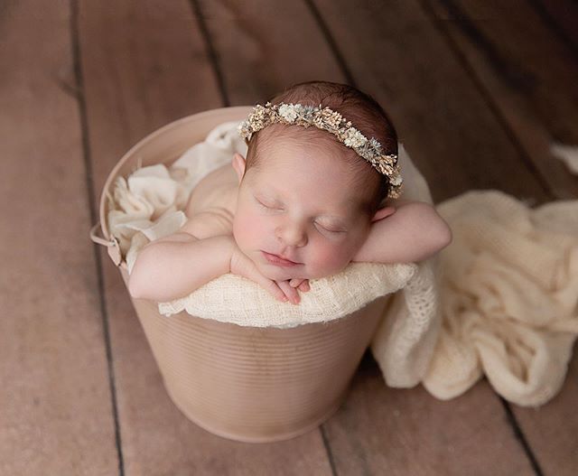 Happy Thursday everyone 💕 #newborn #newbornbucketpose #newbornphotography #travelingnewbornphotographer #laphotographer #lanewbornphotographer #tatevikkphotography #newbornbabygirl #newbornpropshop #newbornprops #newbornphotoshoot #photoshoot