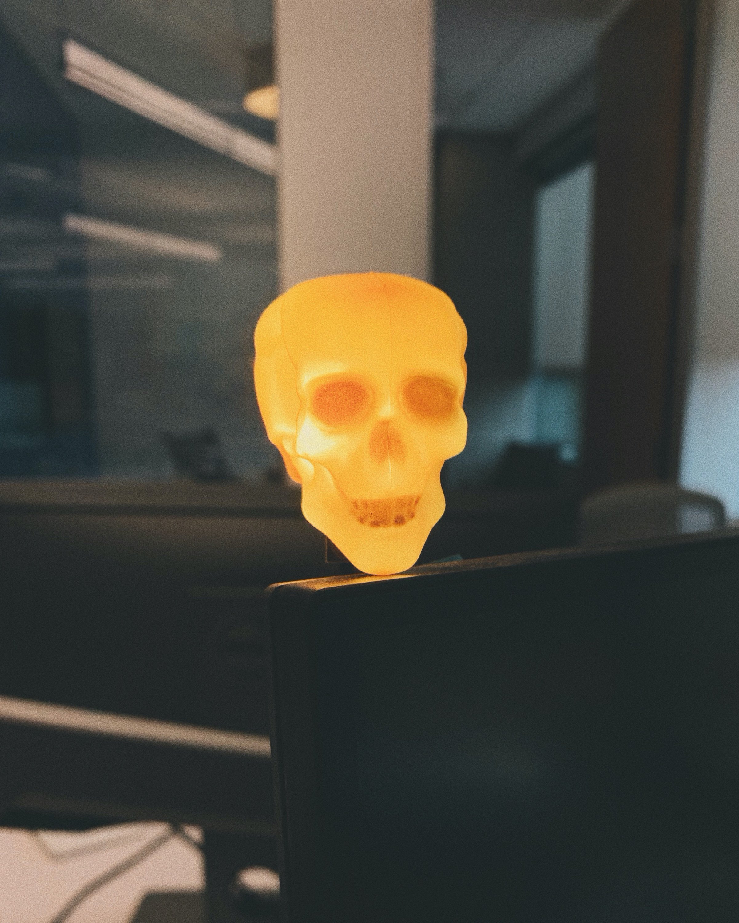 skull.jpeg
