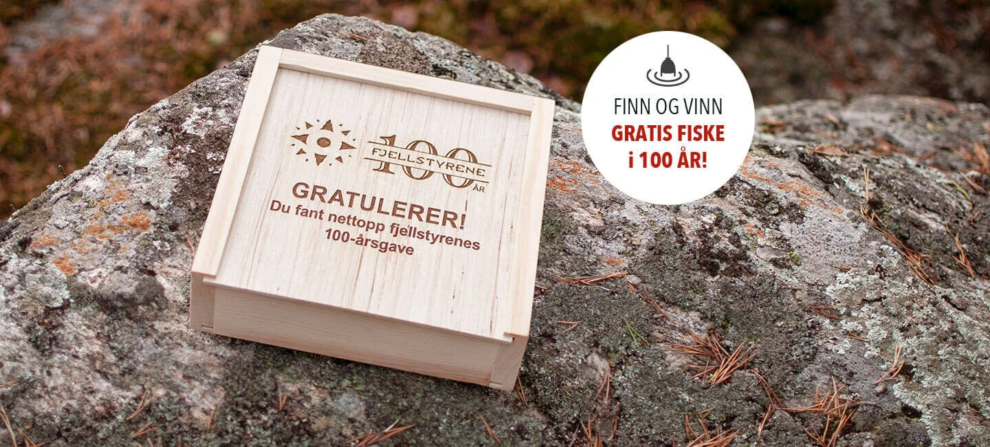Fjellstyrene er 100 år!